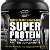Optimum-Nutrition Gold Standard 100% Whey Protein Powder- Double Rich Chocolate 4