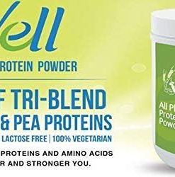 WELL All Plant Protein Powder (200g) 2