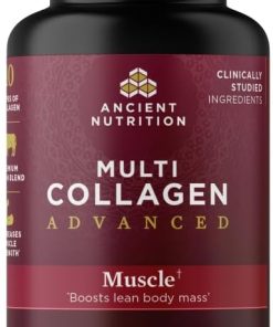 Ancient Nutrition Advanced Collagen Protein Muscle with Probiotics- Hydrolyzed Collagen Peptides Supports Healthy Body Composition* and Muscle Building*