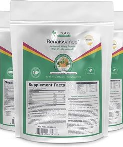 Renaissance Activated Whey Protein Powder Isolate with Digestive Enzymes – 372g