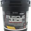 Ultimate Nutrition Muscle Juice Revolution 2600 Weight Gainer- Muscle Recovery with Glutamine