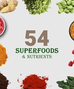 UpNourish Plant Based Meal Replacement Protein Powder Peanut Butter Flavor 15 Servings 2