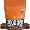 Muscle Mass 3000 | 18G Whey Protein- 1.5G Dietary Fibre