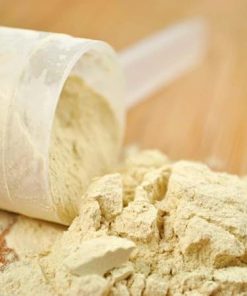 WHEY PROTEIN 80%- 44lb 2