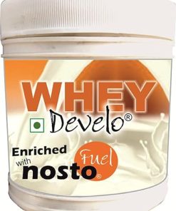 Whey Protein Powder – 500 g (Kesar Badam)