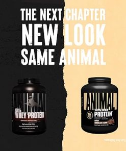 Animal 100% Whey Protein Powder – Whey Blend for Pre Workout or Post Workout- Recovery 2