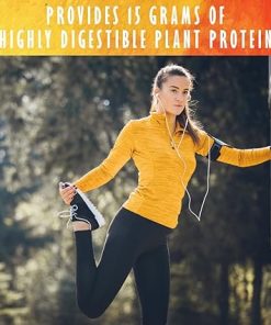 Garden of Life Organic Plant Protein Smooth Energy Powder- 10 Servings – Vegan 2