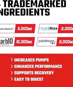 Axe & Sledge Supplements Demo Day Intra-Workout Carbohydrate Powder with Cluster Dextrin- Carb10 2