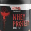 100% Organic Pure Plant Protein Powder | USDA Certified | Organic Protein Powder | Vegan | Non-GMO | Sugar- Soy 3