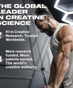 Creatine Monohydrate Powder MuscleTech Platinum Pure Micronized Muscle Recovery + Builder for Men & Women Workout Supplements Unflavored (80 Servings) 2