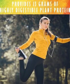 Garden of Life Organic Plant Protein Smooth Coffee Powder- 10 Servings – Vegan 2
