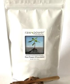 Raw Power Protein (Chocolate) 16oz- Premium Protein/Superfood Powder Blend 2