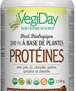 VegiDay Raw Organic Plant Based Protein Decadent Chocolate- 972 g 2
