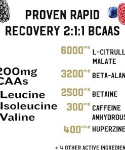 Iron Kingdom BCAA Plus Powder for Women & Men Essential Amino Acids- Electrolytes & Glutamine Supplement for Endurance 2