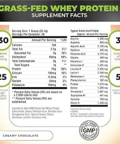 Nutrology Grass Fed Whey Protein Powder- Creamy Chocolate Flavor 2