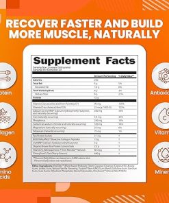 SaltWrap Protein Clinic – Total Body Recovery Shake with Collagen Peptides- HMB 2