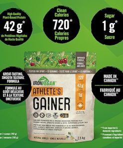 Gainer Vanilla Protein Powder- 2500 GR 2