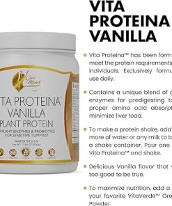 Cocó March N.M.D Vita Protein Vegan Vanilla Plant Protein- 20g Per Serving for Sensitive Tummies with Plant Enzymes and Probiotics – Free from Gluten 2